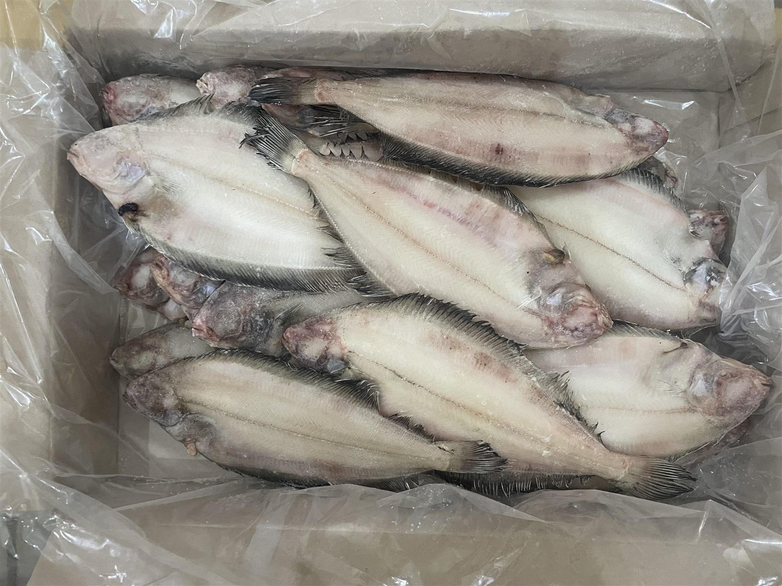 상자에 담긴 가자미